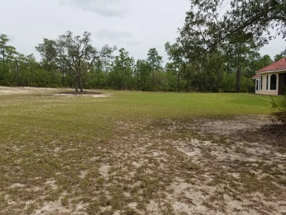 Top-rated yard maintenance for beautiful yards across Inverness, FL - Goran's Lawncare & Tree's