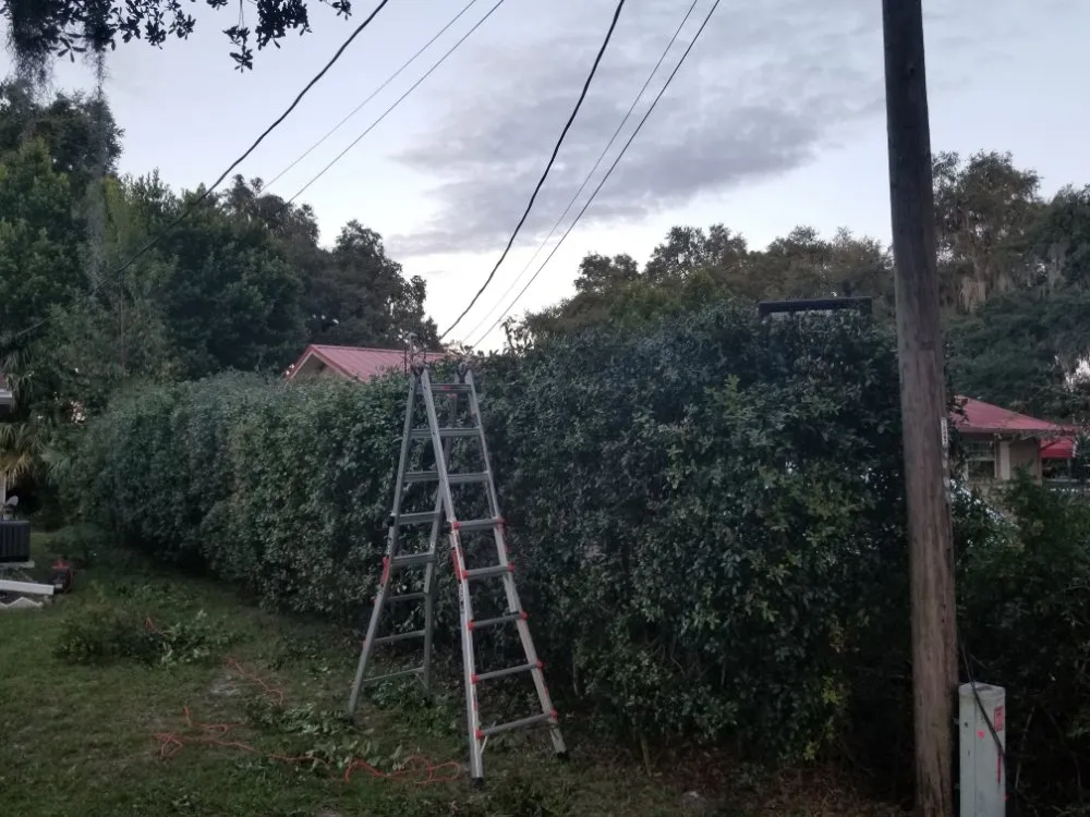 Local outdoor landscaping for year-round maintenance in Inverness, FL by Goran's Lawncare & Tree's