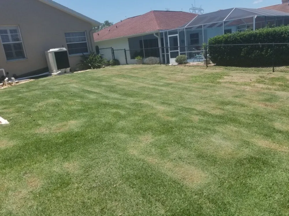 Expert landscape installation in Inverness, FL by Goran's Lawncare & Tree's