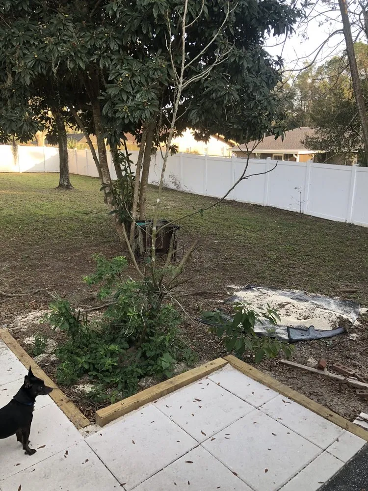 Expert lawn mowing service in Inverness, FL - Goran's Lawncare & Tree's