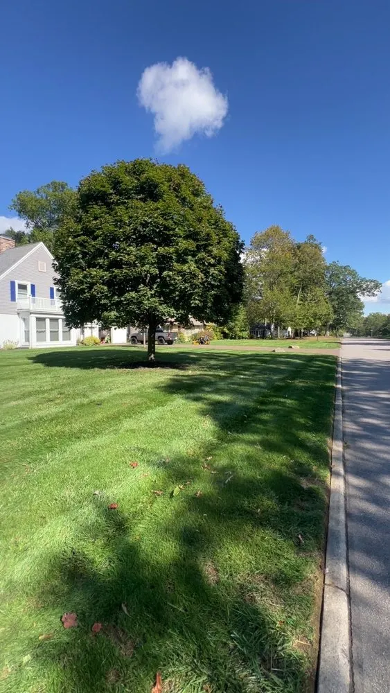 Professional yard maintenance in Mansfield, OH - Gordie's Lawncare & Landscaping