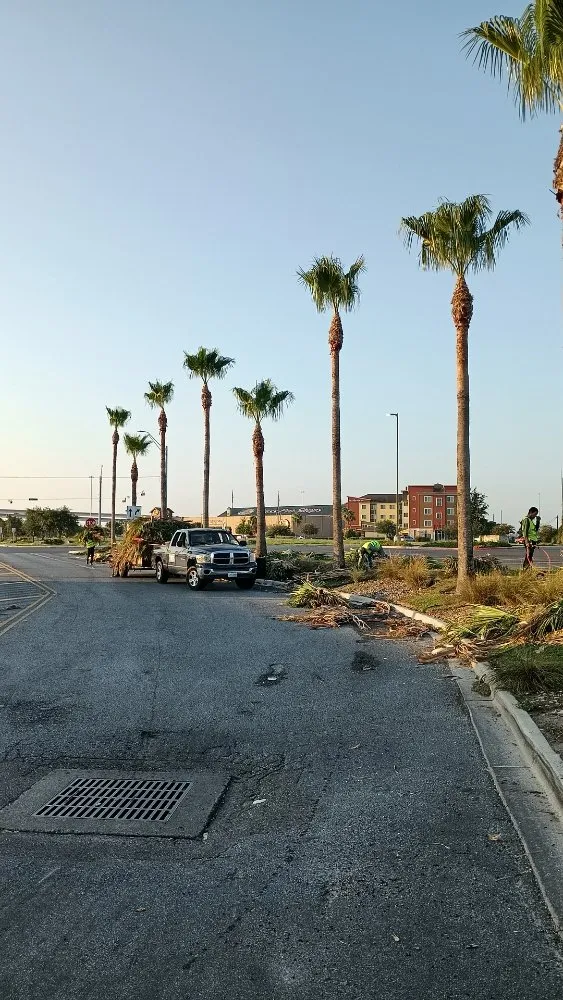 Affordable lawn mowing service in Harlingen, TX - Gordillo Tree Services and Landscaping