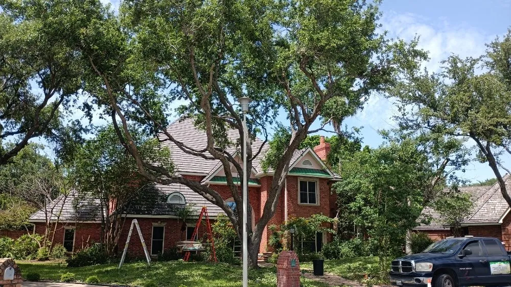 Expert landscape design for beautiful yards in Harlingen, TX by Gordillo Tree Services and Landscaping