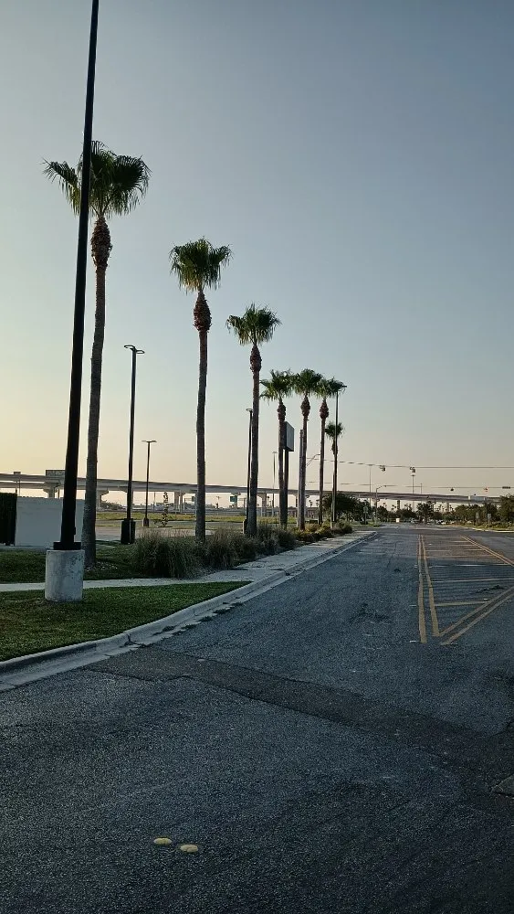 Trusted garden landscaping in Harlingen, TX by Gordillo Tree Services and Landscaping