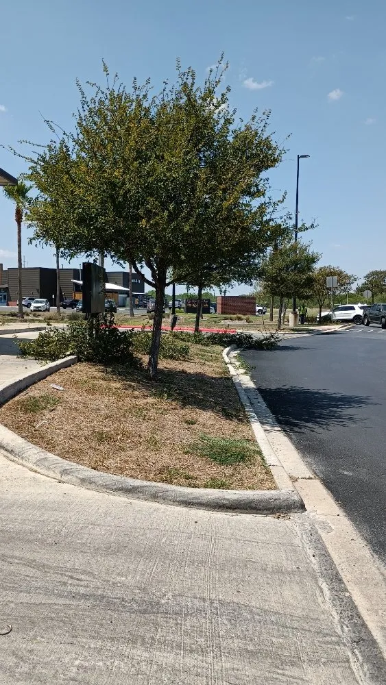 Local garden landscaping for outdoor upgrades across Harlingen, TX - Gordillo Tree Services and Landscaping