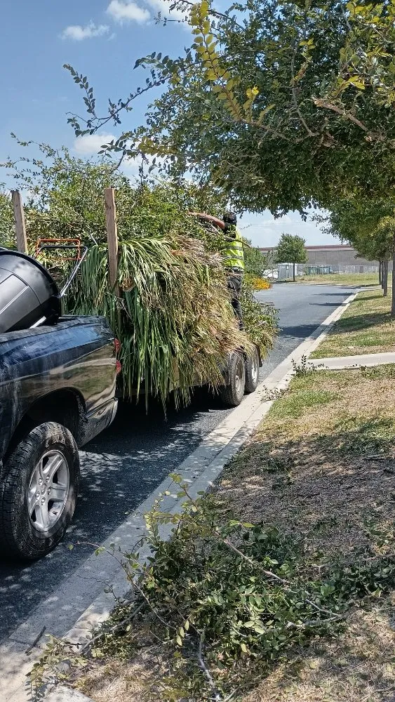 Top-rated garden landscaping for year-round maintenance across Harlingen, TX - Gordillo Tree Services and Landscaping