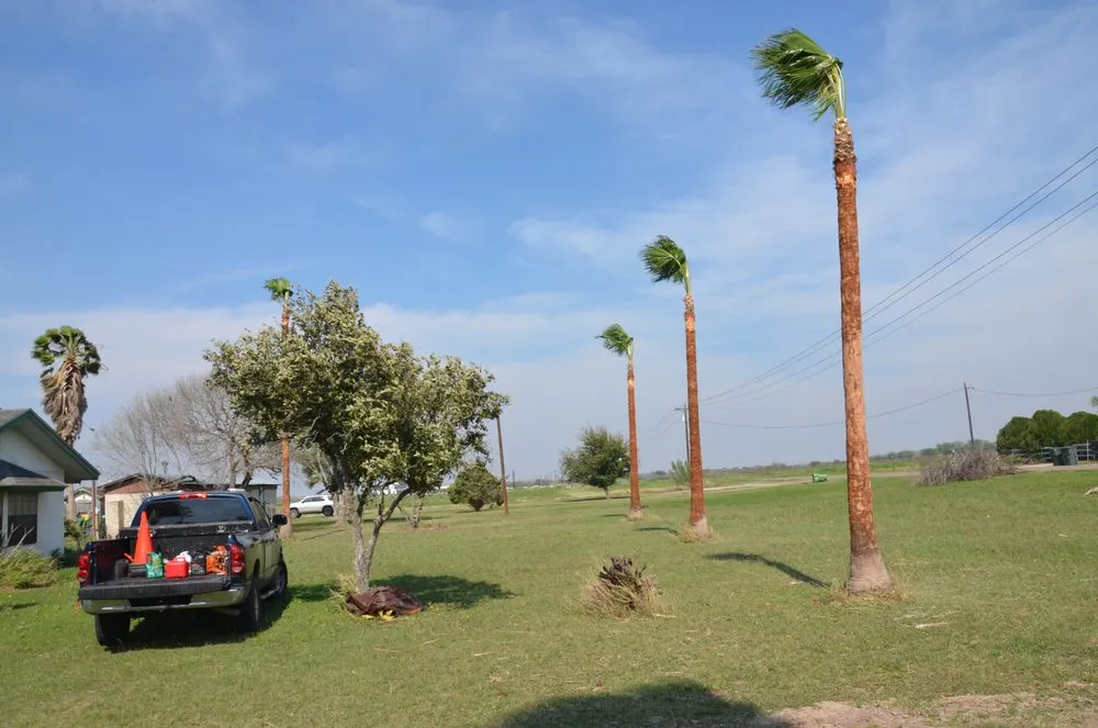 Professional yard maintenance with custom design in Harlingen, TX by Gordillo Tree Services and Landscaping