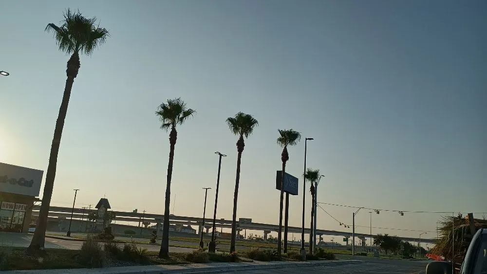 Local outdoor landscaping in Harlingen, TX by Gordillo Tree Services and Landscaping