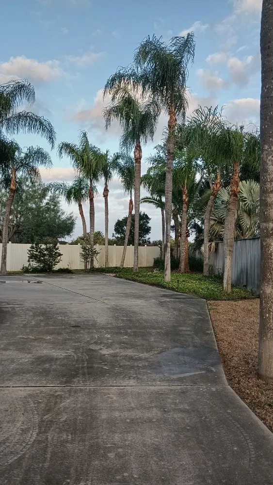 Reliable landscape design for beautiful yards in Harlingen, TX by Gordillo Tree Services and Landscaping