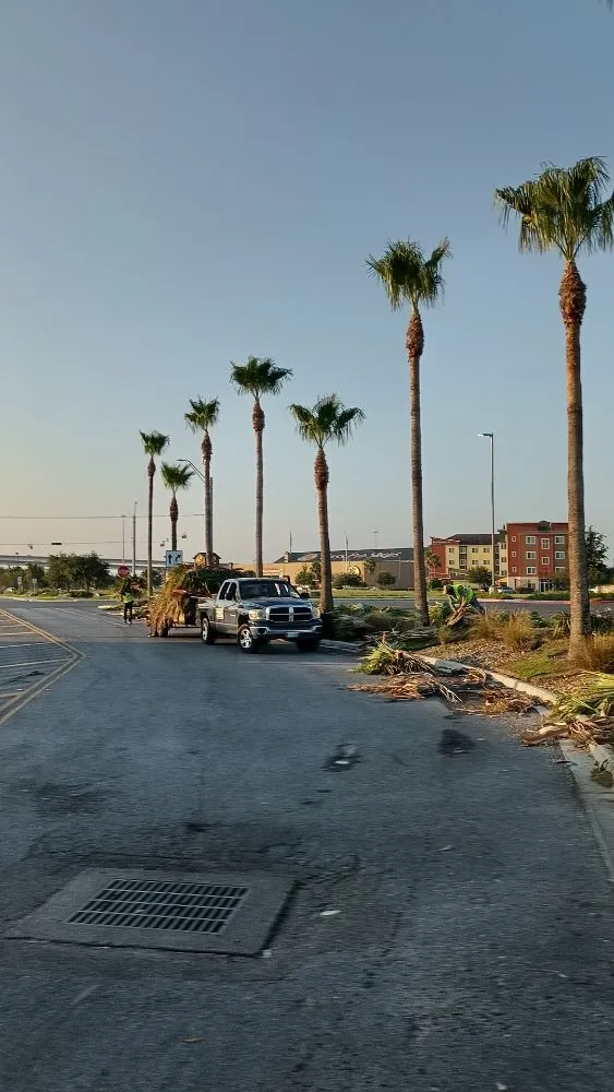 Reliable landscape design for outdoor upgrades across Harlingen, TX - Gordillo Tree Services and Landscaping