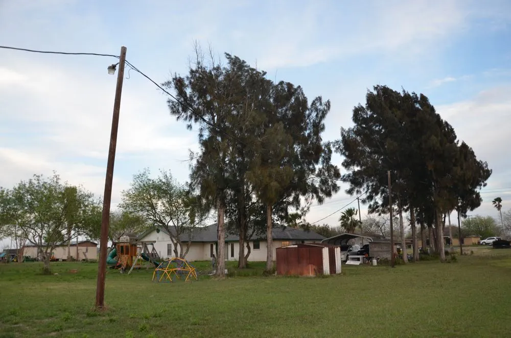 Professional landscape installation in Harlingen, TX - Gordillo Tree Services and Landscaping