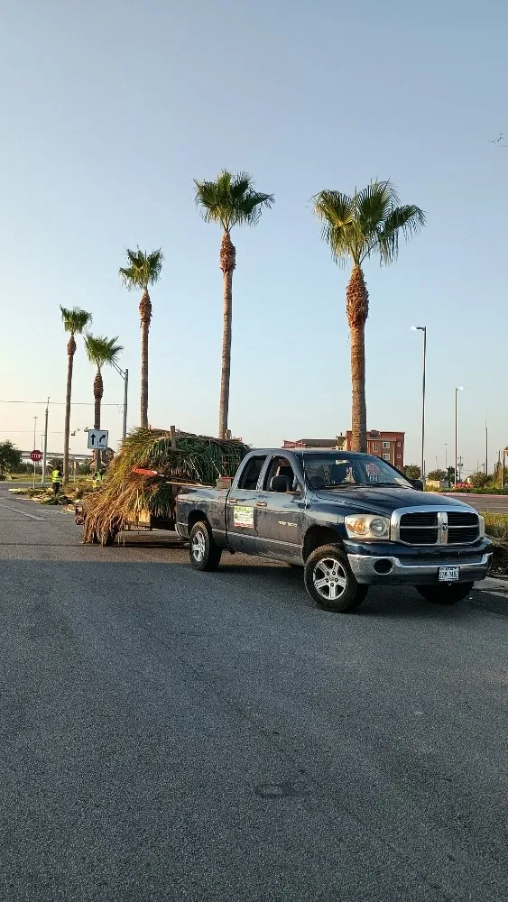 Custom garden landscaping for residential properties across Harlingen, TX - Gordillo Tree Services and Landscaping