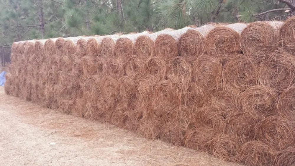 Affordable garden landscaping experts serving Chapin, SC - Gordon Lawn Care Services