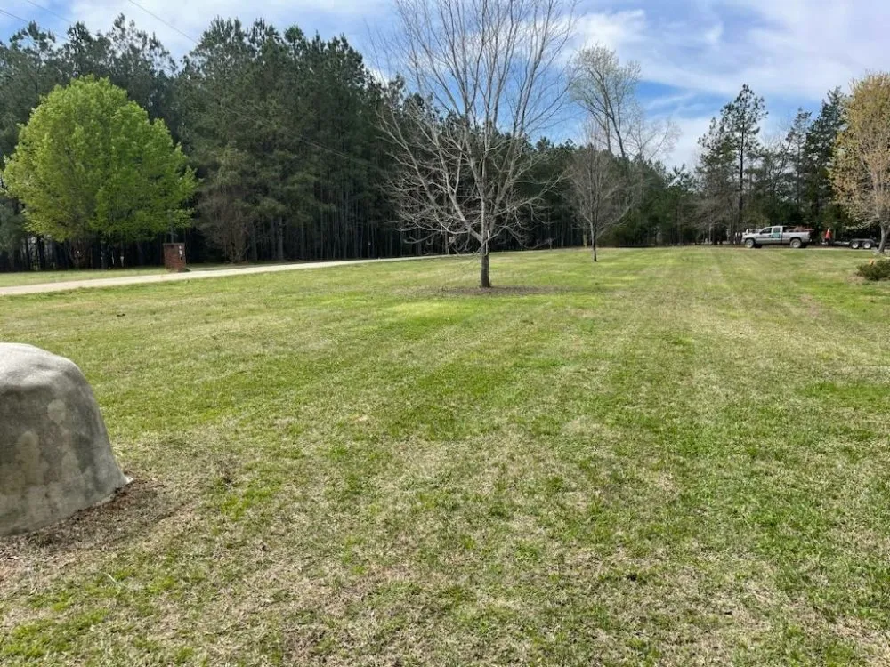 Affordable outdoor landscaping for homes across Chapin, SC - Gordon Lawn Care Services