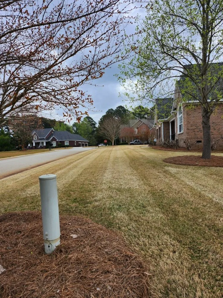 Affordable yard cleanup service for year-round maintenance in Chapin, SC by Gordon Lawn Care Services