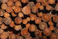 Expert outdoor landscaping in Rochester, NH - Gordon Logging & Landclearing