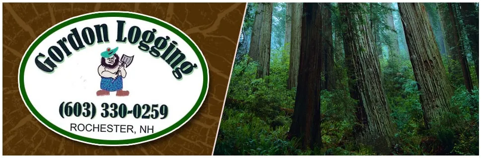 Top-rated lawn care service in Rochester, NH - Gordon Logging & Landclearing