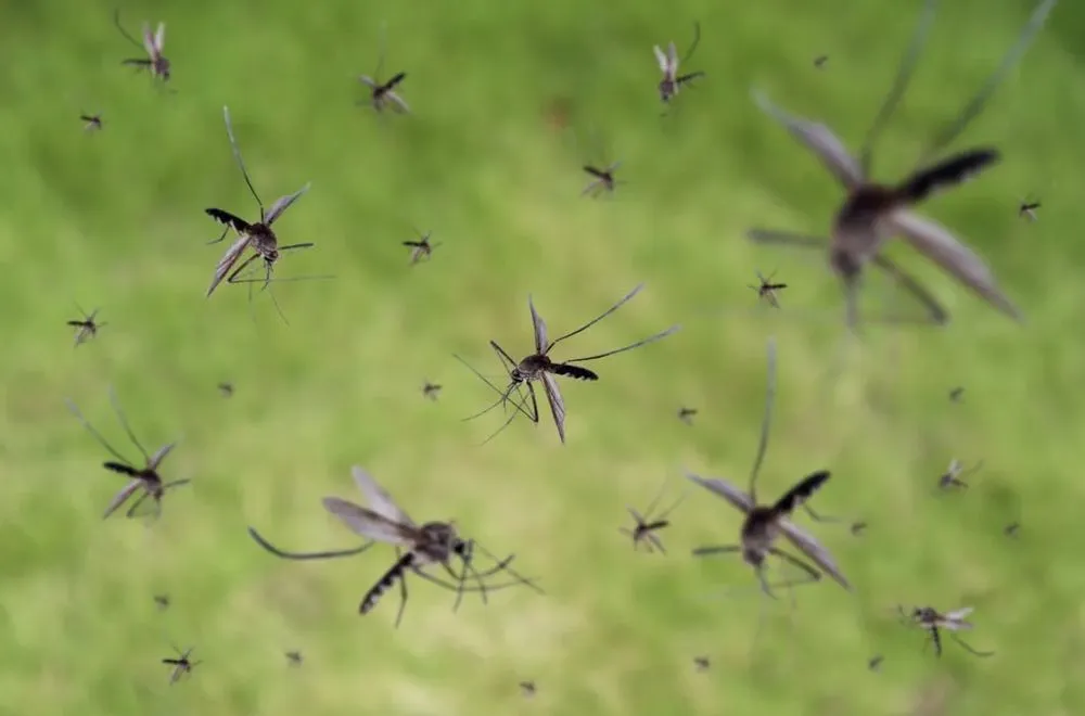 Reliable landscape design for residential properties across Hollywood, FL - Gordon Services