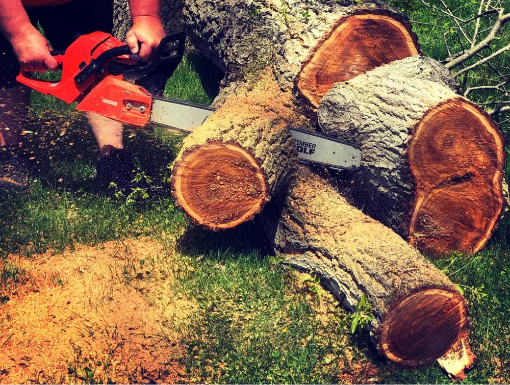 Top-rated residential landscaping in Auburn, IN - Gordon Tree Service