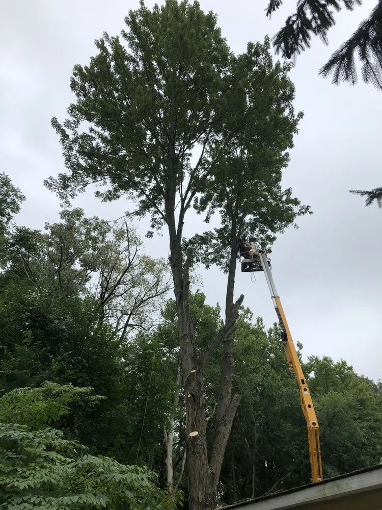 Trusted yard maintenance for residential properties across Auburn, IN - Gordon Tree Service
