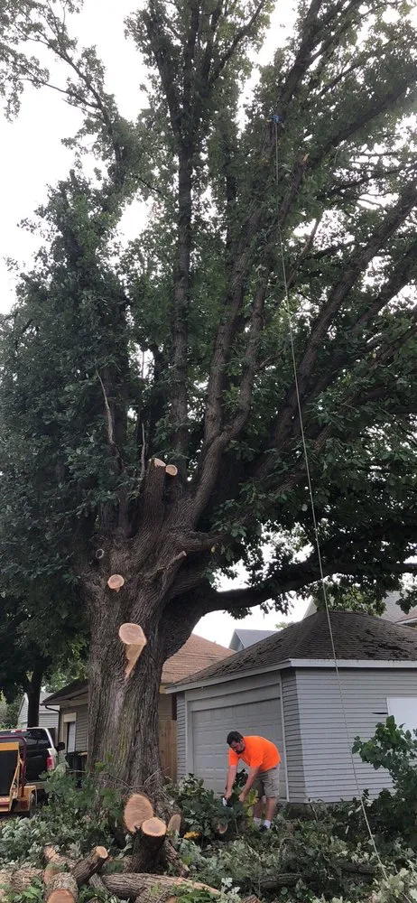 Professional landscape installation near you across Auburn, IN - Gordon Tree Service