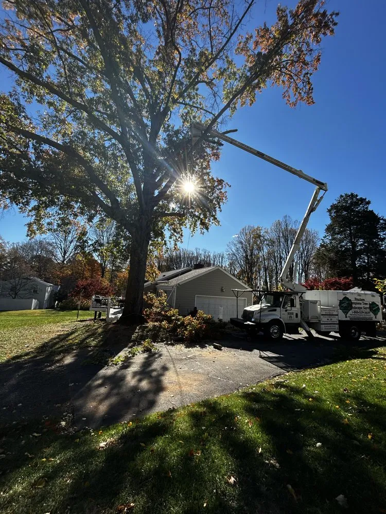 Professional landscape design for outdoor upgrades across Fairfax, VA - Gordon W Frazier Tree Service
