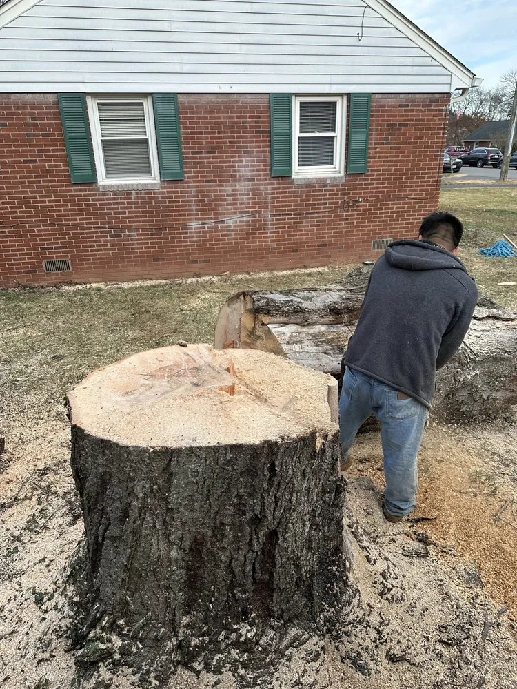 Trusted lawn mowing service experts serving Fairfax, VA - Gordon W Frazier Tree Service