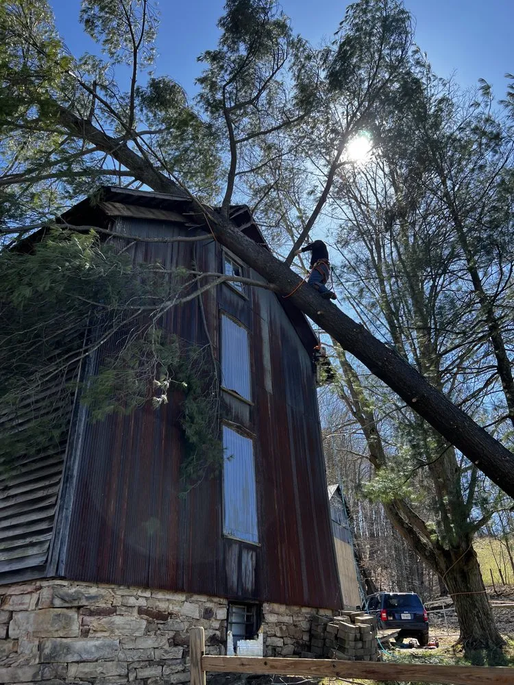 Custom landscaping services with custom design in Fairfax, VA by Gordon W Frazier Tree Service