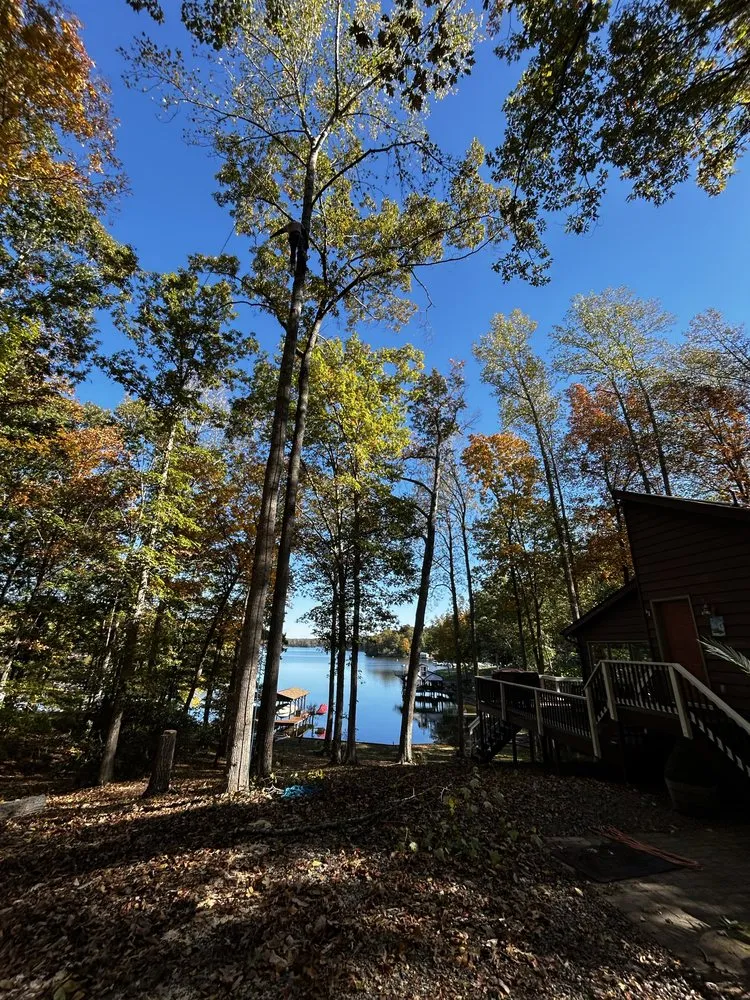 Affordable lawn mowing service in Fairfax, VA by Gordon W Frazier Tree Service