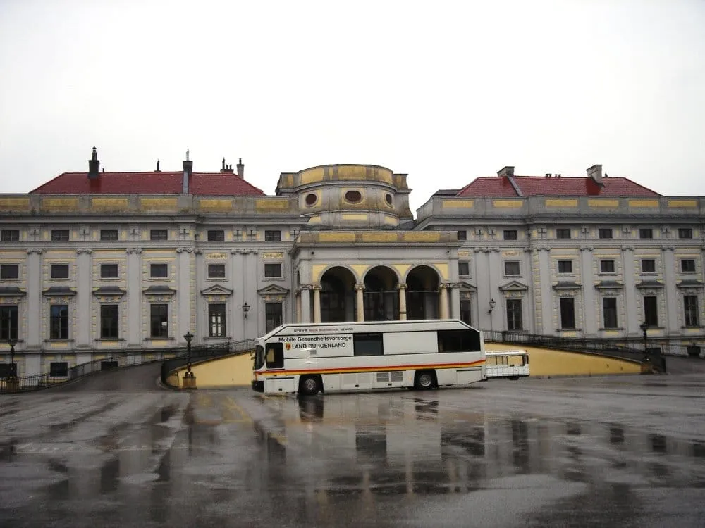 Professional yard maintenance in Fairfax, VA - Gordon W Frazier Tree Service