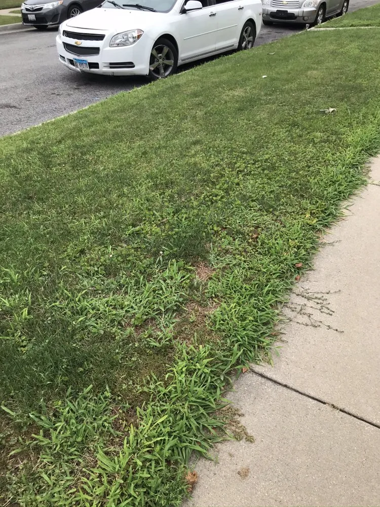 Trusted landscaping services in Chicago, IL by Gordons Class Lawncare & Snow Removal