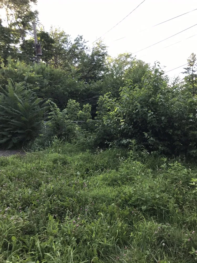 Top-rated residential landscaping for year-round maintenance in Chicago, IL by Gordons Class Lawncare & Snow Removal