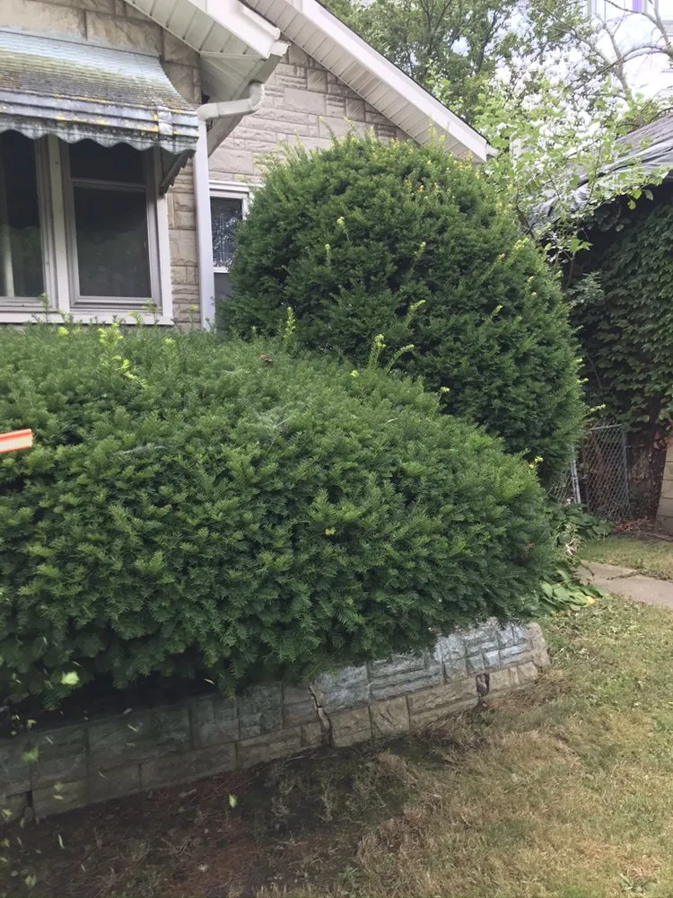 Trusted residential landscaping experts serving Chicago, IL - Gordons Class Lawncare & Snow Removal