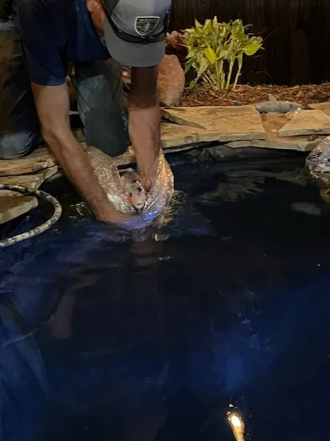 Expert landscape design for beautiful yards in Lawton, OK by Gordon's Landscapes