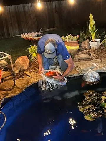 Expert landscape design for year-round maintenance in Lawton, OK by Gordon's Landscapes