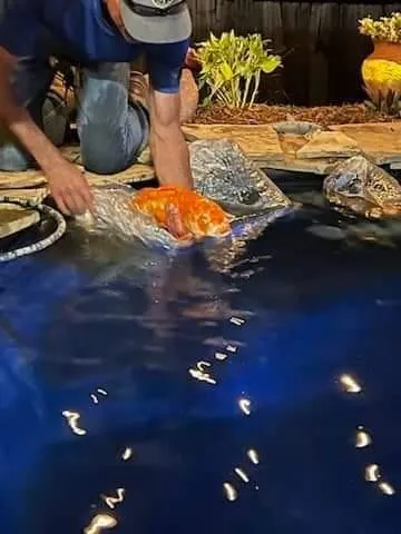 Custom landscaping services experts serving Lawton, OK - Gordon's Landscapes