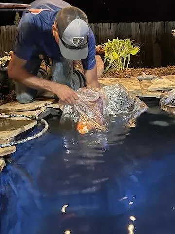 Affordable landscape installation in Lawton, OK by Gordon's Landscapes