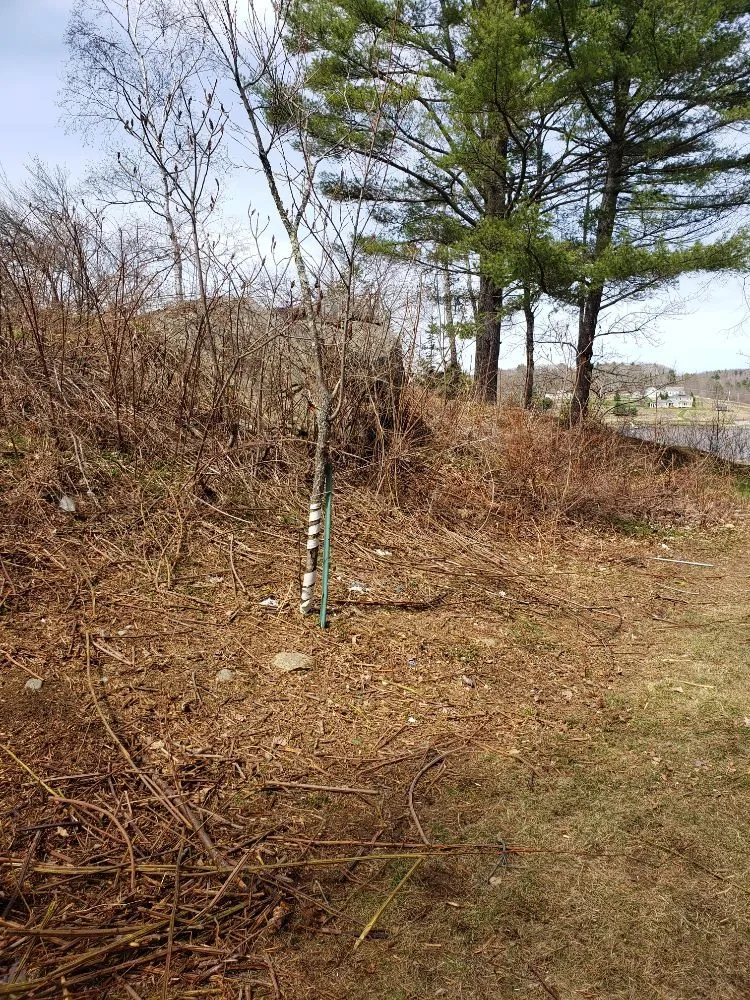 Local landscape installation for residential properties in Belfast, ME by Gordon's Lawn Care