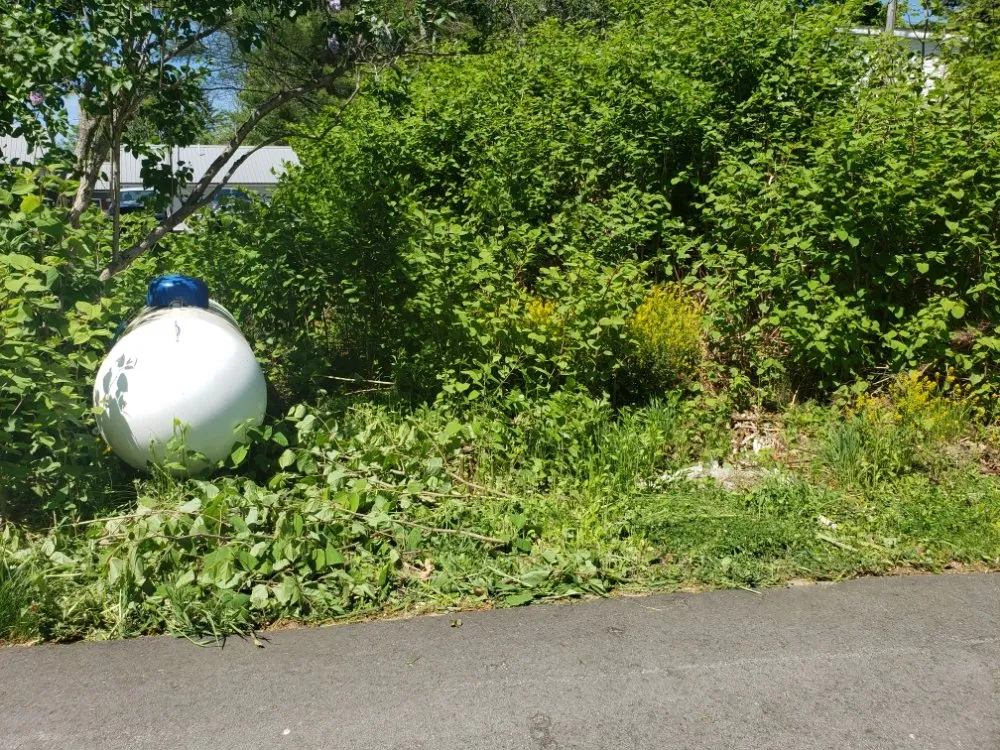 Affordable outdoor landscaping in Belfast, ME by Gordon's Lawn Care