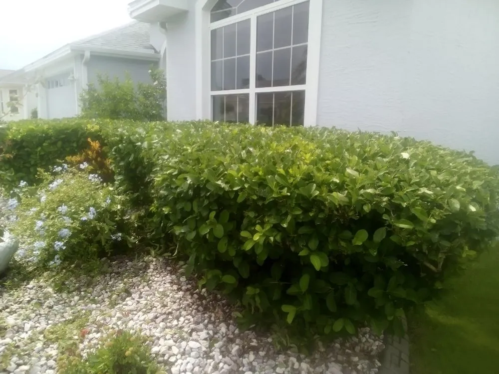 Reliable landscape design experts serving Citra, FL - Gordons Lawn Care Services