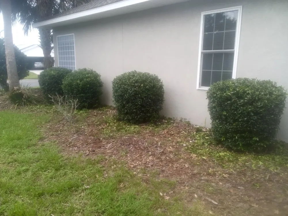 Professional yard cleanup service for homes across Citra, FL - Gordons Lawn Care Services