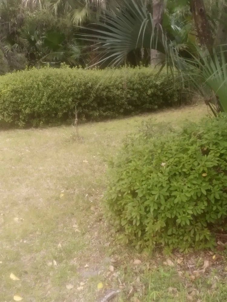 Reliable landscaping services for beautiful yards across Citra, FL - Gordons Lawn Care Services