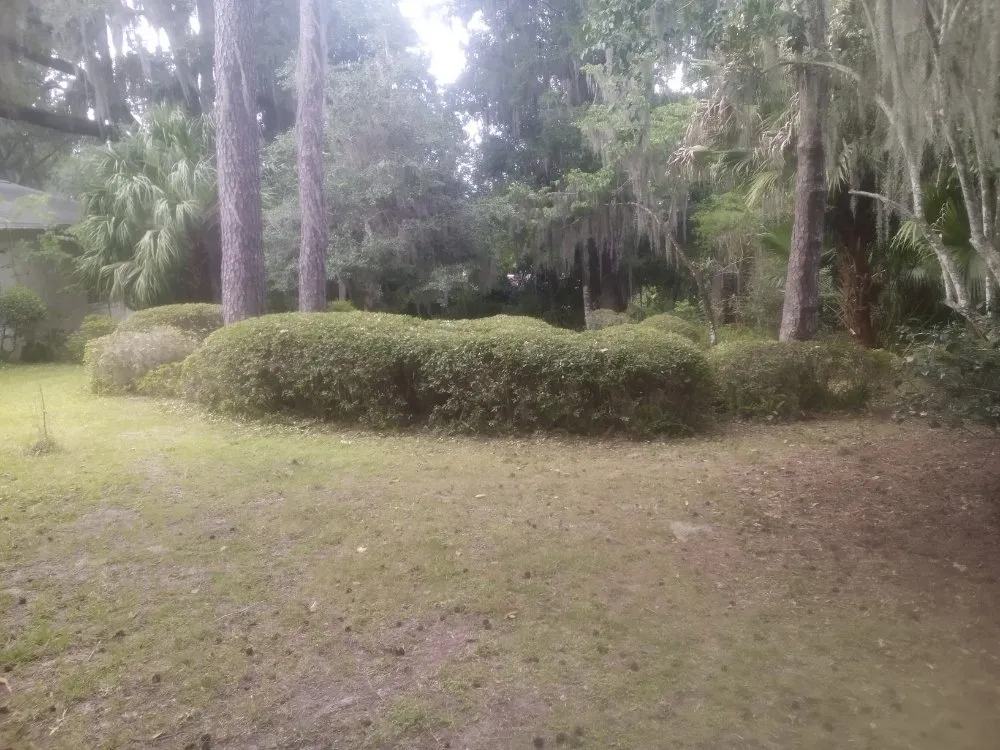 Custom outdoor landscaping for residential properties in Citra, FL by Gordons Lawn Care Services