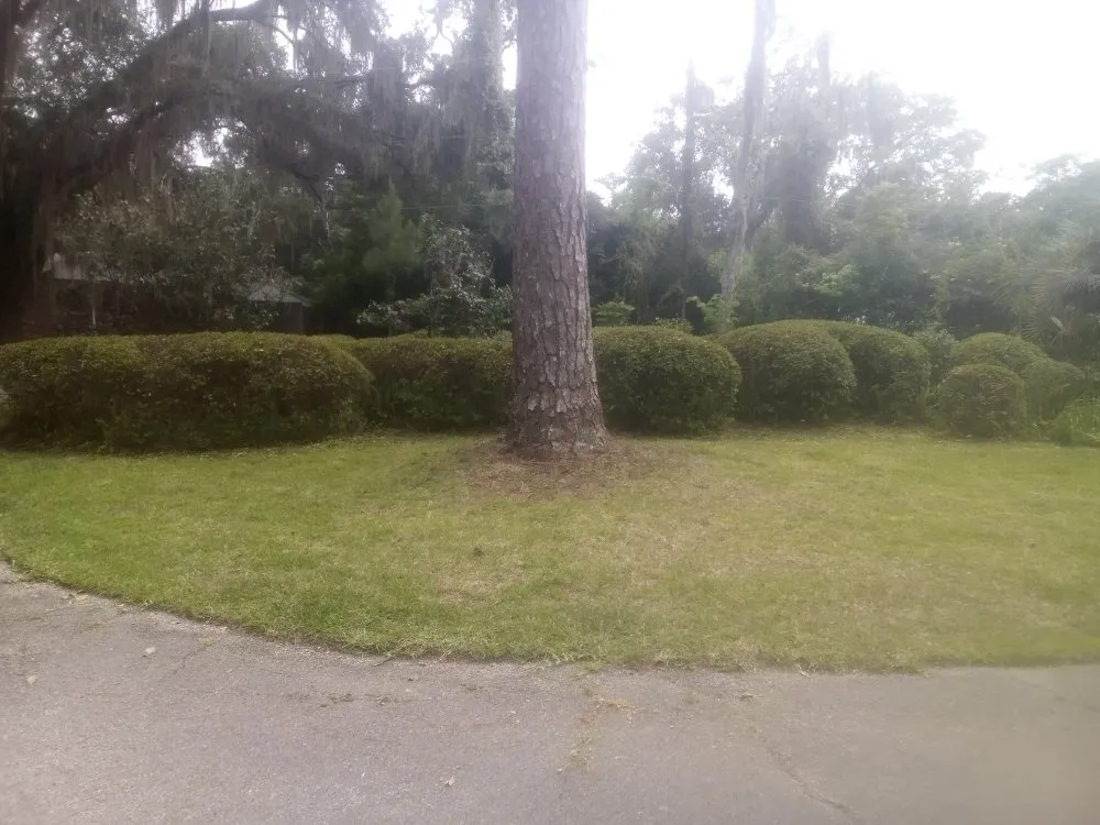 Affordable residential landscaping in Citra, FL - Gordons Lawn Care Services