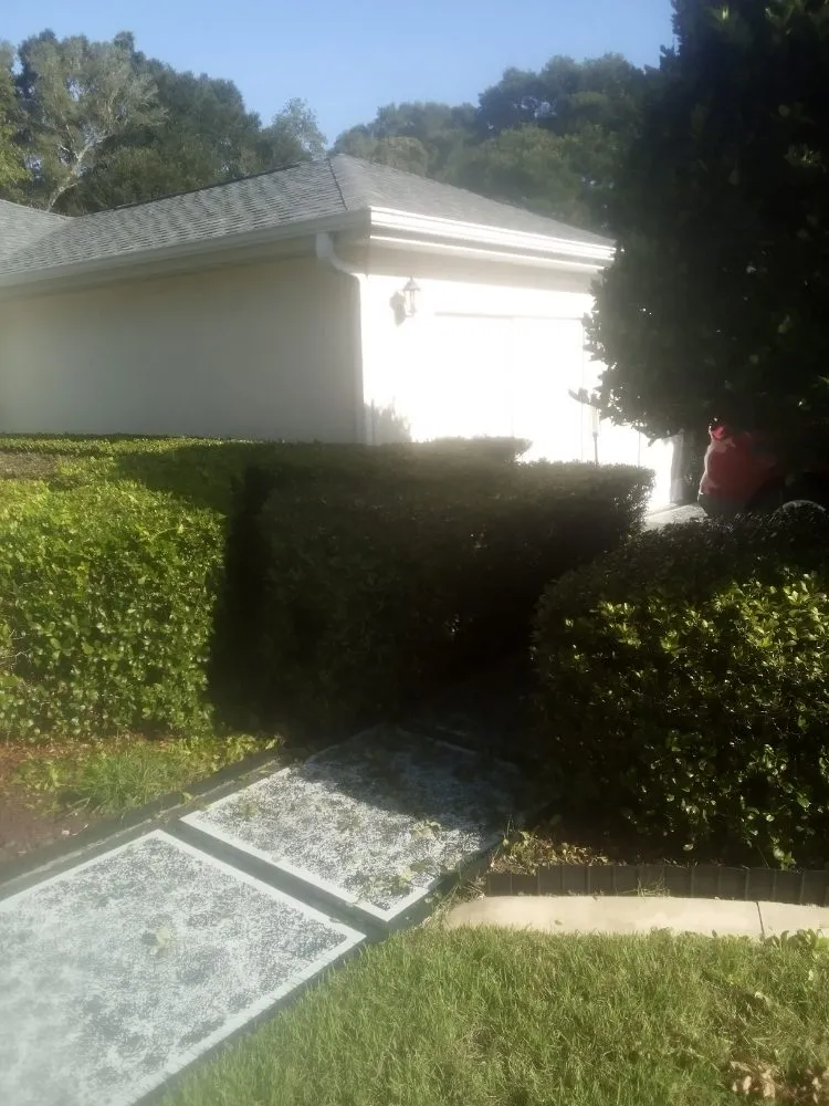 Top-rated outdoor landscaping for homes in Citra, FL by Gordons Lawn Care Services