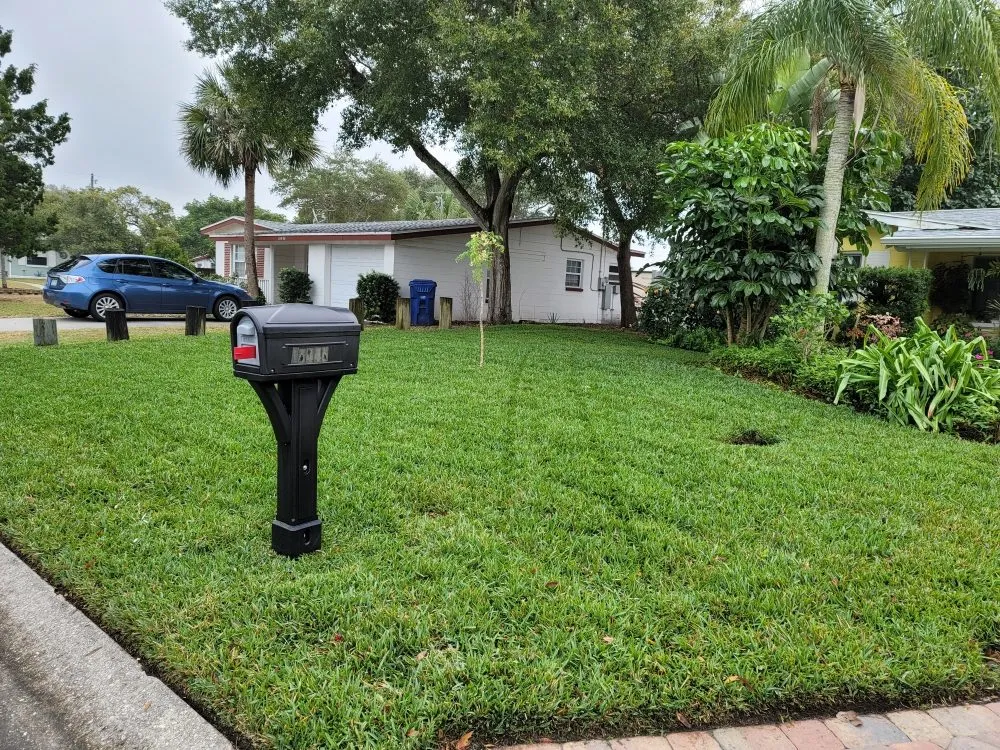Affordable landscape installation in St. Petersburg, FL - Gordon's Lawn Care