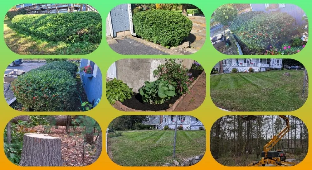 Local yard maintenance in Fitchburg, MA by Gordon's Tree & Lawn Care