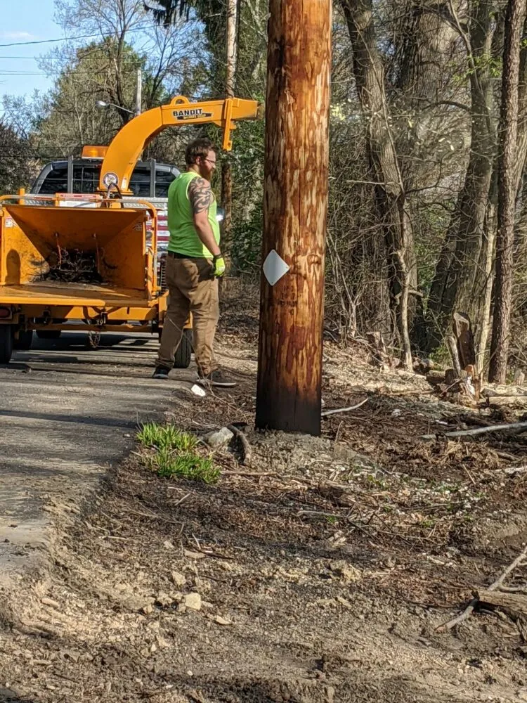 Professional lawn mowing service in Lunenburg, MA - Gordons Tree & Lawn Care