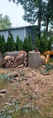 Gordons Tree Service Logo