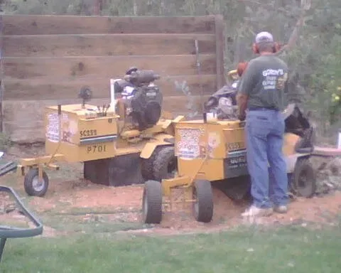 Top-rated landscape design in Santee, CA by Gordy's Stump Grinding